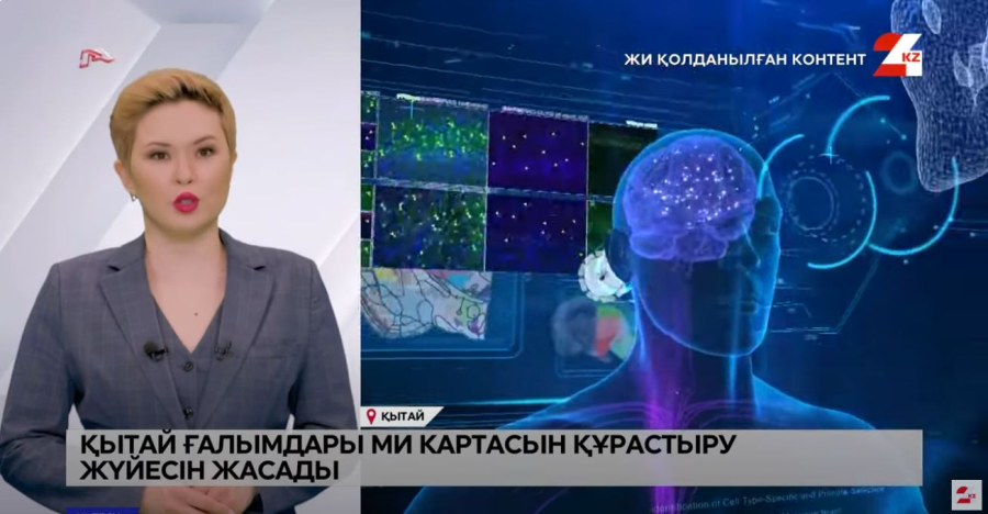 Учёные из КНР разработали систему по картированию мозга
