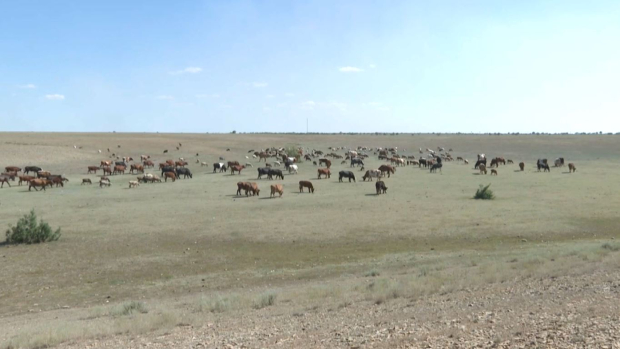 Шаруаларға жеңілдетілген несие беріледі