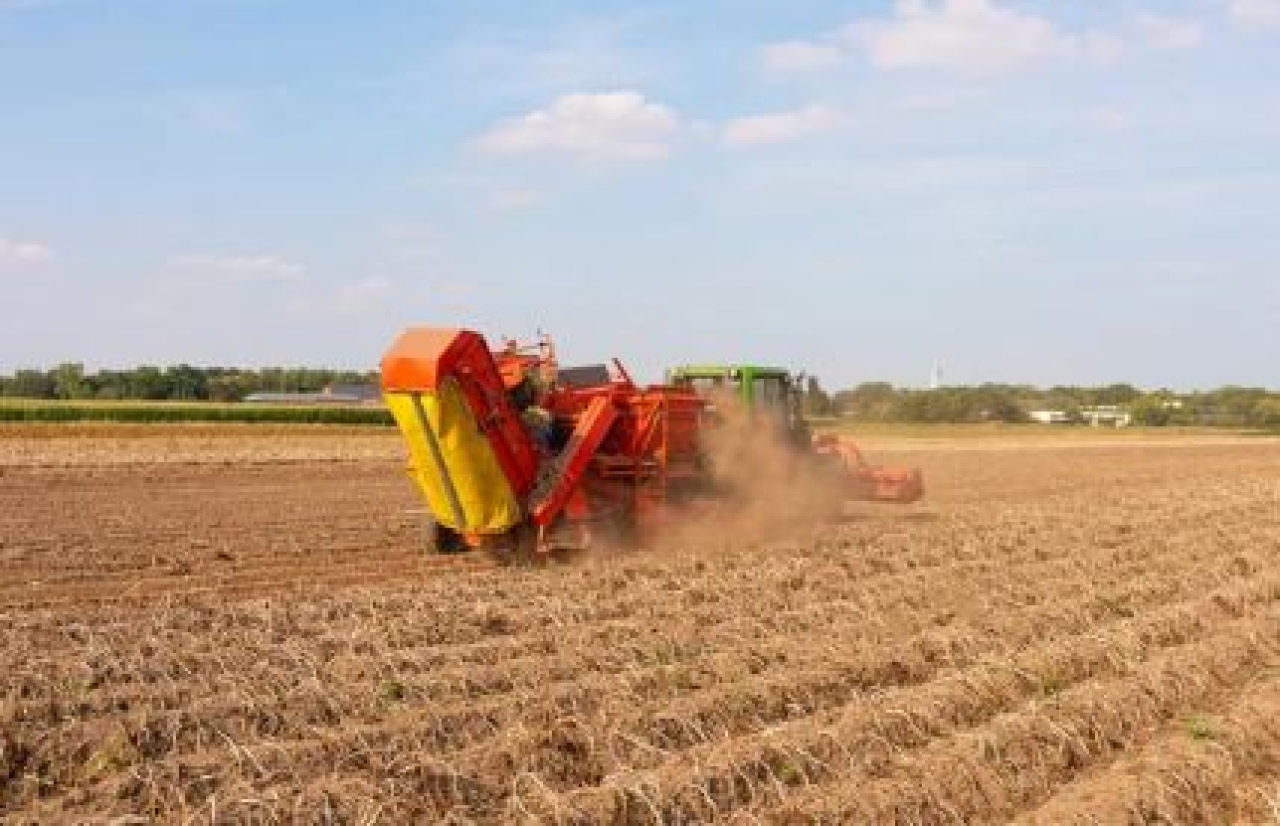 Аграрии увеличат посевы кормовых и масличных культур