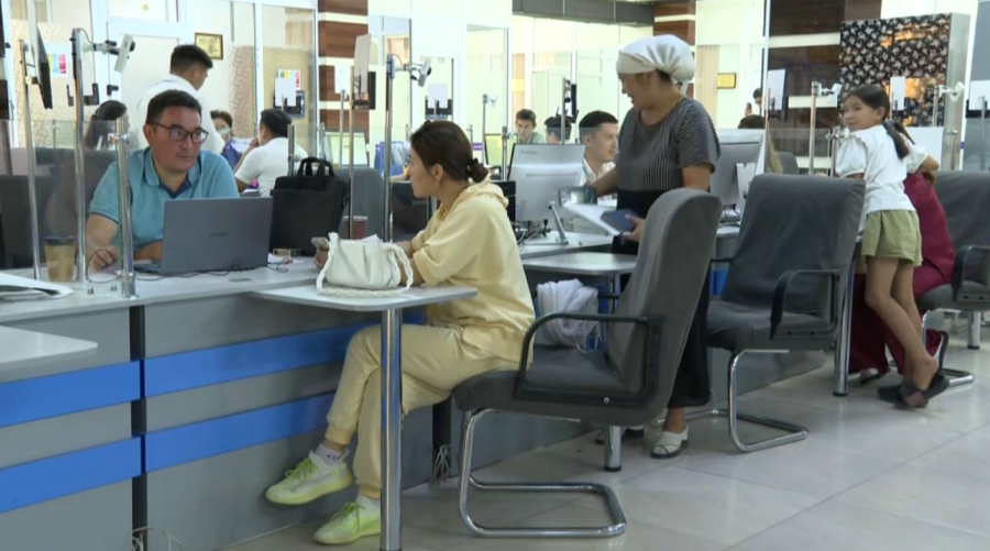 Доступ к 11 видам господдержки автоматизировали в Шымкенте