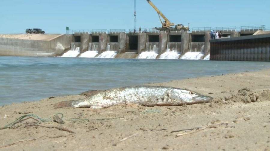 Экосаммит определит климатическую повестку Центральной Азии