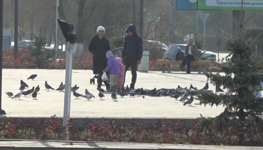 Павлодарда күзгі ағаш егу науқаны жүріп жатыр