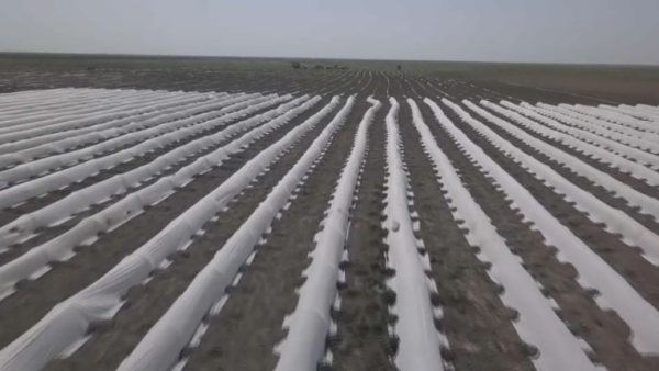 К посевному сезону готовятся в Атырауской области