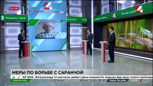 Меры по борьбе с саранчой. Дневная смена | 11.06.2024