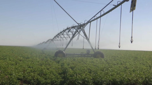 Елімізде тамшылатып суару жүйесі жетілдіріледі