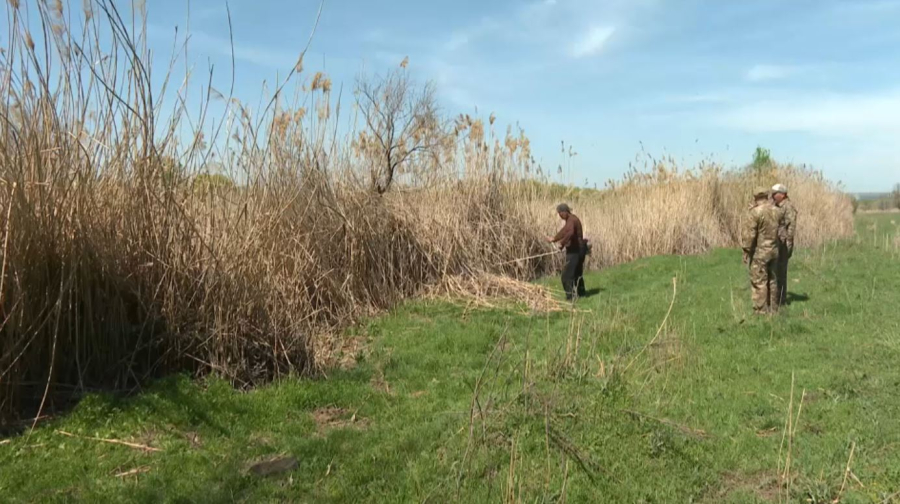 Шымкенттегі орман алқаптарында өрт қауіпсіздігі күшейтілді