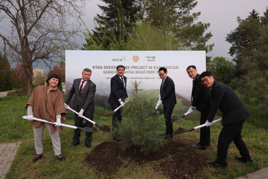 Опыт Кореи поможет восстановить леса в области Абай