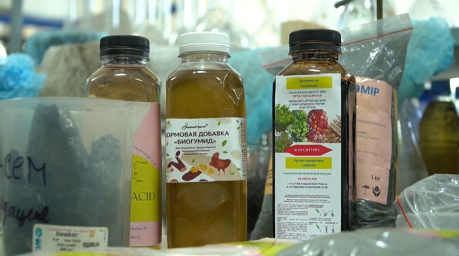 Ғалымдар: Көмір химиясын дамытуға ұлттық бағдарлама қажет