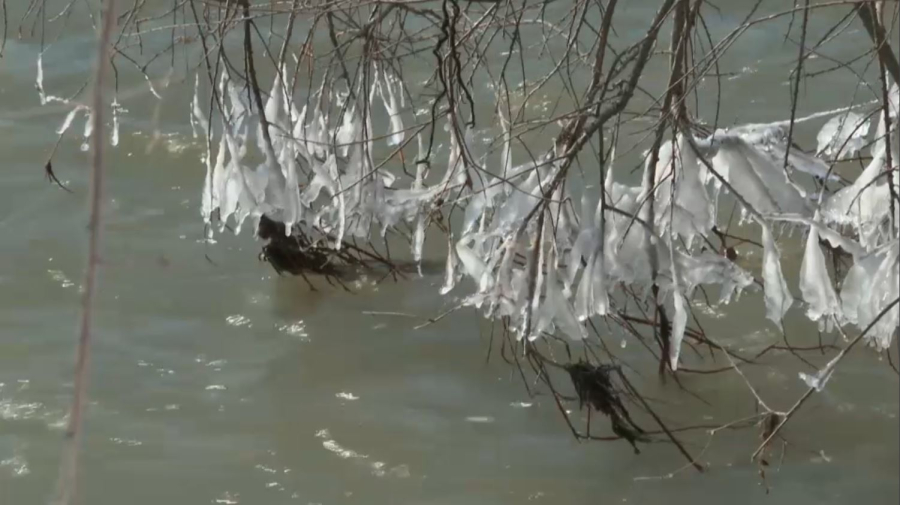 Шымкентте Бадам өзенінің бөгеті тағы бұзылды