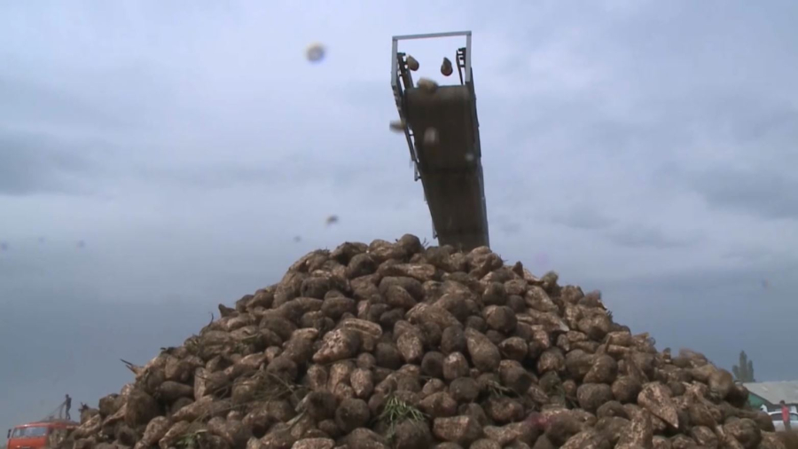 Төрт айда агроөнеркәсіп кешеніне ₸213 млрд инвестиция тартылды