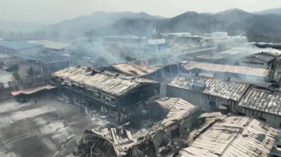 Масштабные пожары в Южной Корее: полиция задержала подозреваемого