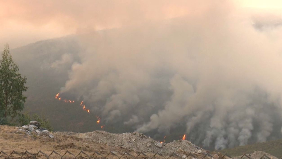 Испанияда орман өрті: 16 өңірде төтенше жағдай жарияланды