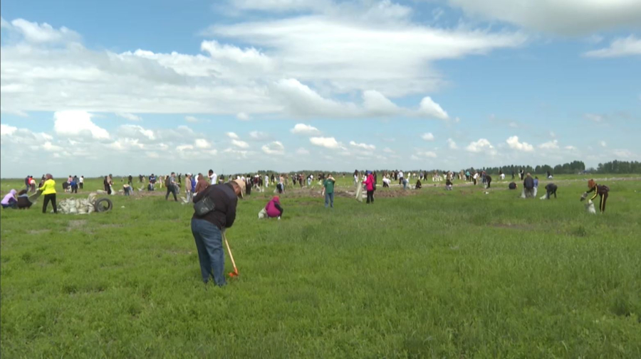 «Таза Қазақстан» жобасы аясында 405 шара өткізілді