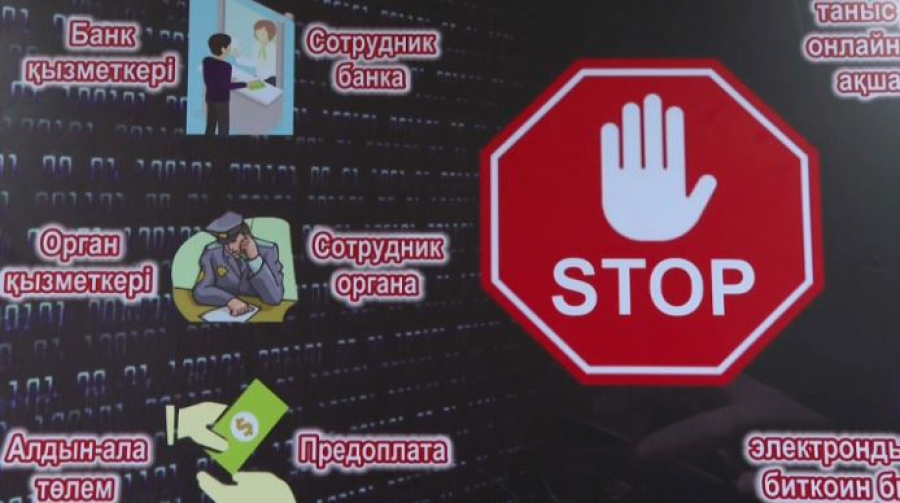 Рост киберпреступности зафиксировали в Туркестанской области