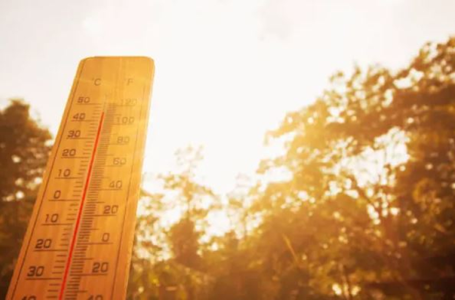 Жару прогнозируют на большей части Казахстана