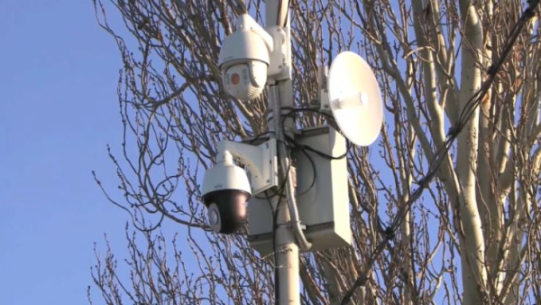 МВД усиливает профилактику нарушений ПДД