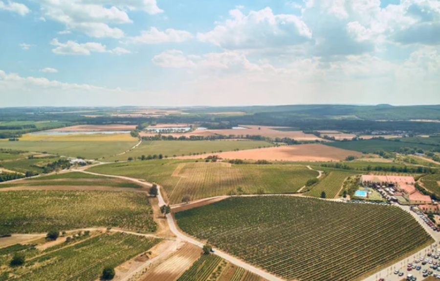 16 неосвоенных земельных участков вернули государству в Атырауской области