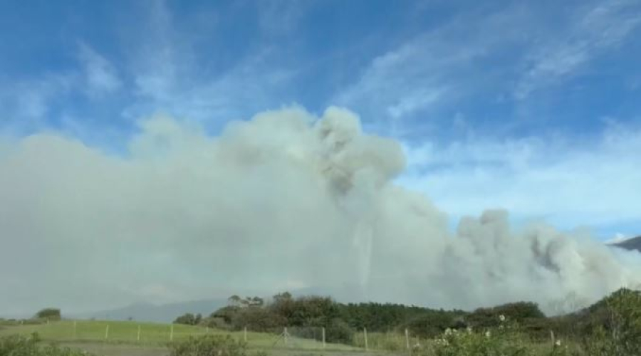 Лесной пожар на юго-западе ЮАР: огнём охвачено три тысячи гектаров леса