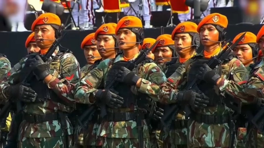 Индонезия может выйти из Совета мира по Газе