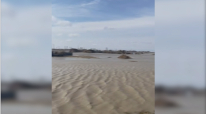 Больше 240 жителей ЗКО покинули свои дома из-за паводка