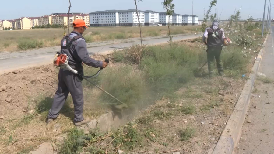 Таза бейсенбі: Шымкентте 17 тонна қоқыс шығарылды