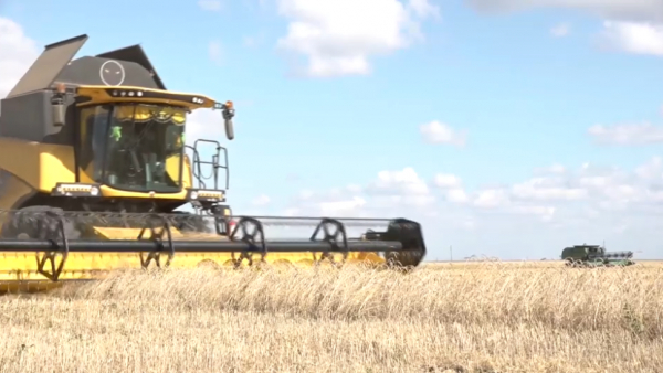 Қызылжар өңірінде 5 млн тонна астық жиналды