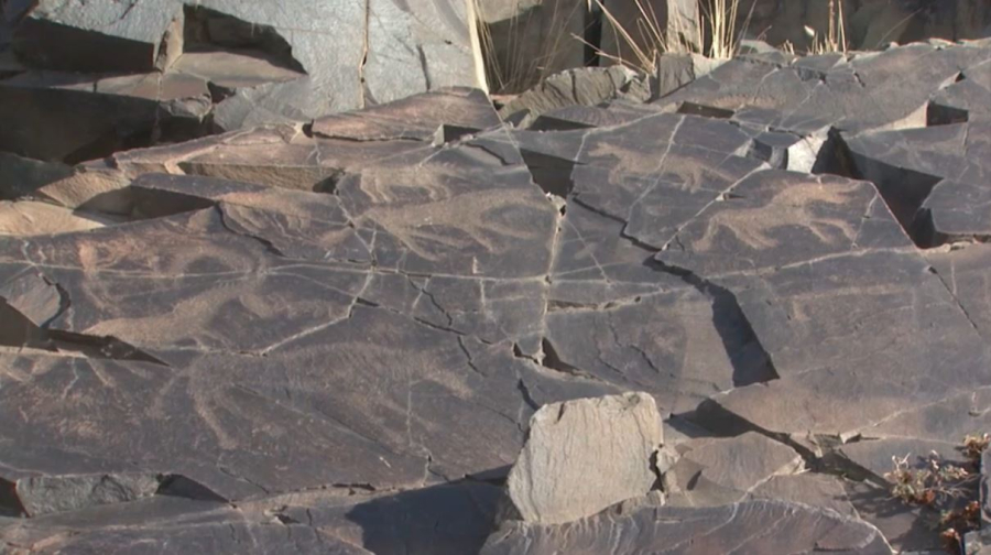 Комплексный план ЮНЕСКО принят в Алматы