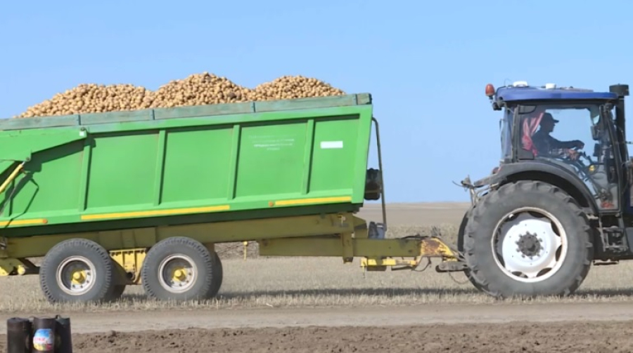 За рубежом растет спрос на казахстанскую агропродукцию