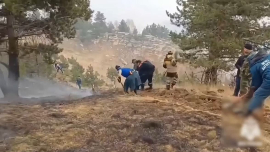 Лесные пожары охватили 1800 гектаров и уничтожили здания в России