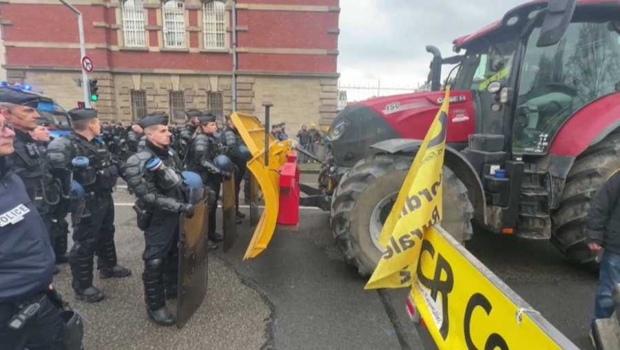 В Страсбурге фермеры устроили протест у Европарламента