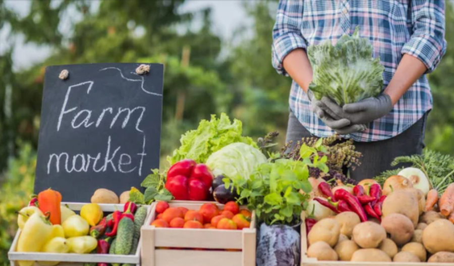 500 тонн продукции привезут аграрии ЗКО и Костанайской области в Астану