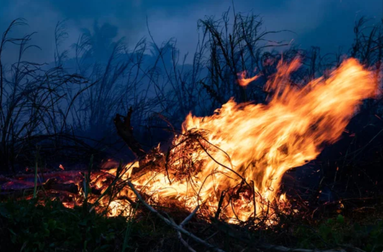 Как избежать пожара: важные правила в опасный сезон