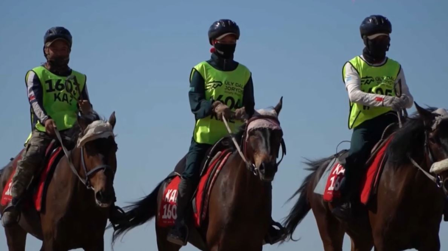 Торғай даласында халықаралық бәйге-марафон жалғасып жатыр. Live