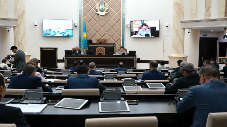 Сенатта экономикалық өсімді ынталандыру тетіктері қаралды