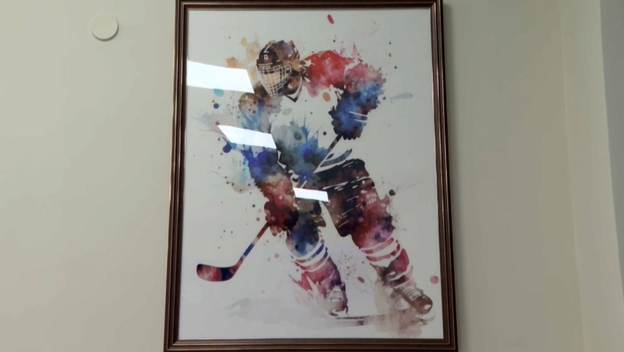 Түркістандағы Мұз сарайында жастар арасында хоккейден жарыс өтті