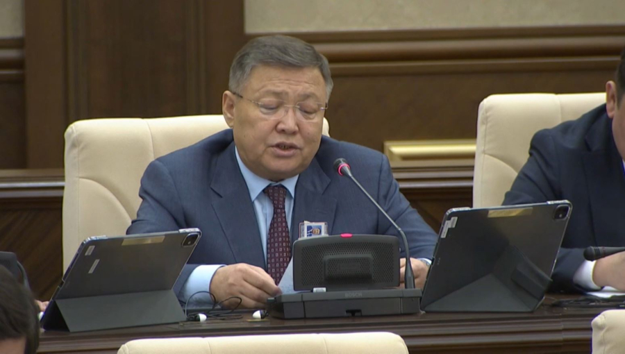 Мәжіліс өңірлердің өзекті мәселелерін қарады