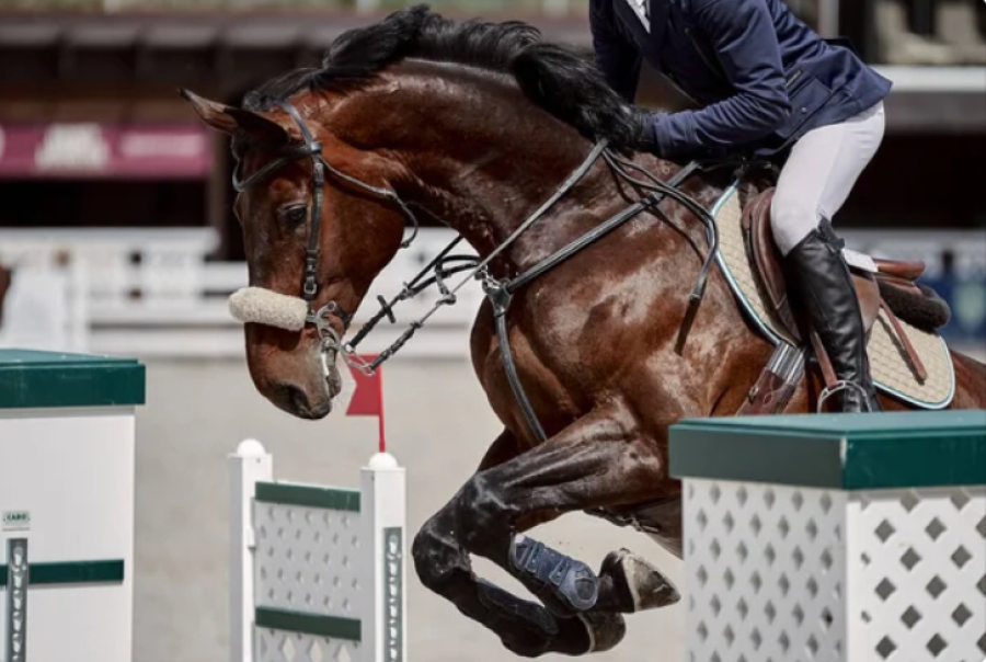 Чемпионат страны по конному спорту пройдет в Астане