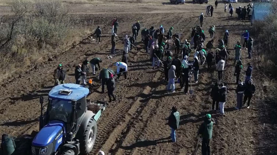 Елорданың «Жасыл белдеуіне» 7,5 мың ағаш отырғызылды