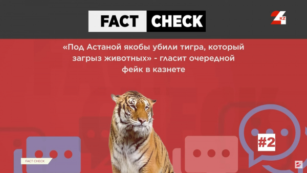 Под Астаной убили тигра – правда или ложь?