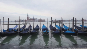 Власти Венеции приглашают на работу терапевтов