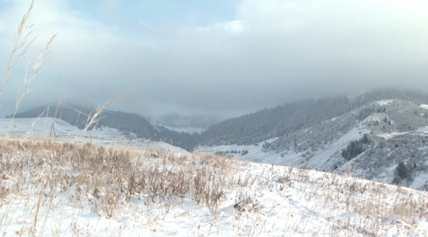 Ақпанда күн ат адым ұзарады