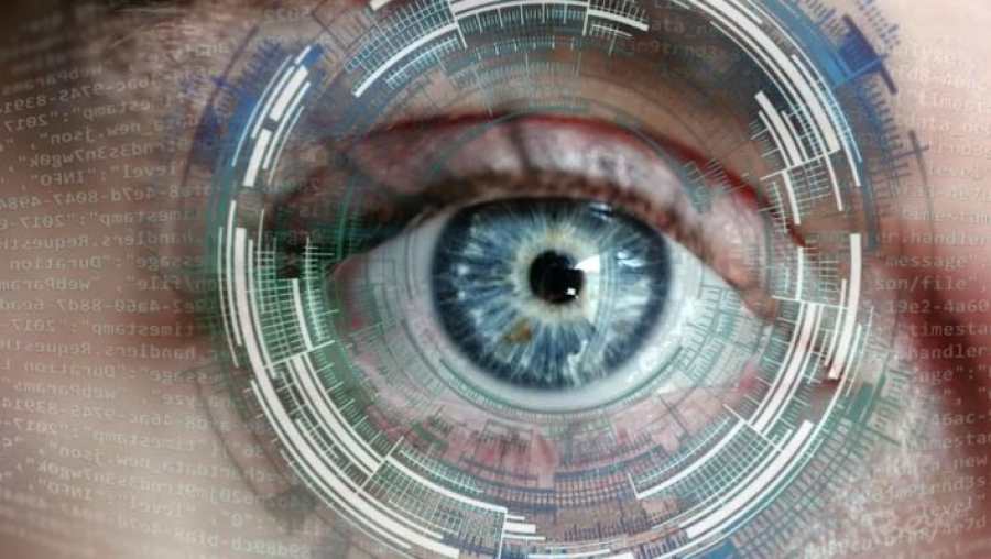 Neuralink планирует вживить человеку зрительный имплант