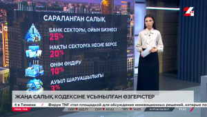 «Сән салтанат» салығы қандай бағалы мүлік үшін салынады? Шолу