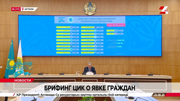Предварительные данные ЦИК: явка на выборы составила 74,19%