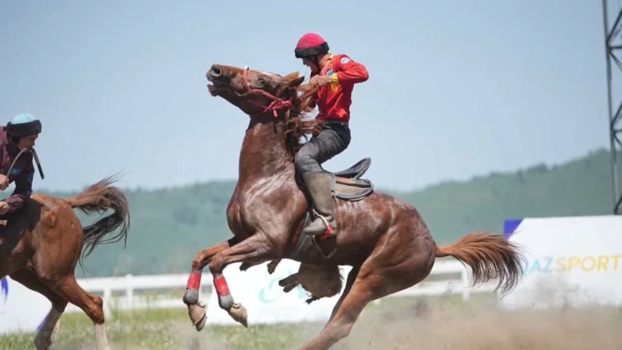Көкпардан әлем чемпионаты өтеді