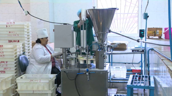 Жумангарин: Открытие ИП усложнят для должников и нарушителей