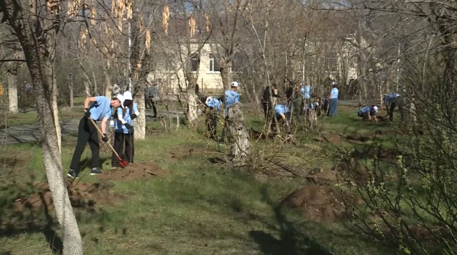 Около 4 тысяч саженцев высадили в Актюбинской области