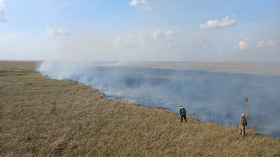 Сухая трава горела в Акмолинской области