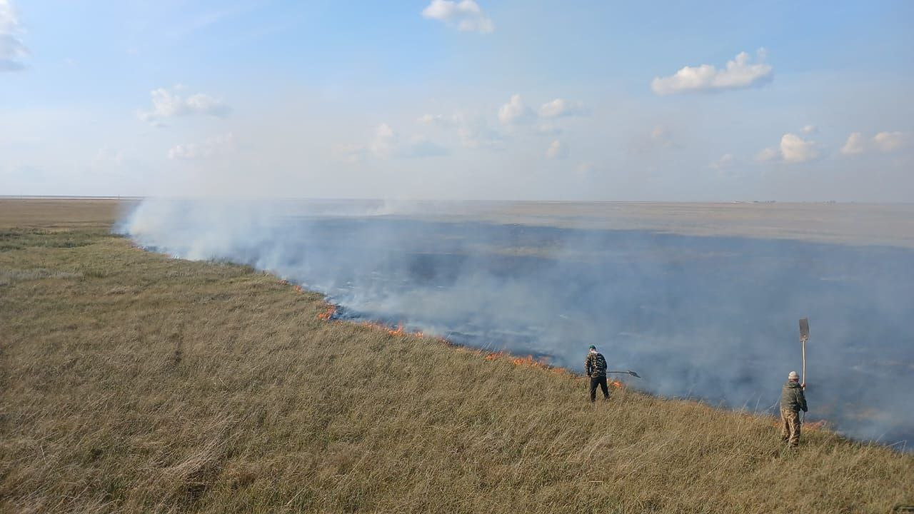Сухая трава горела в Акмолинской области