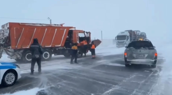 NO COMMENT: Антына адал құтқарушылар